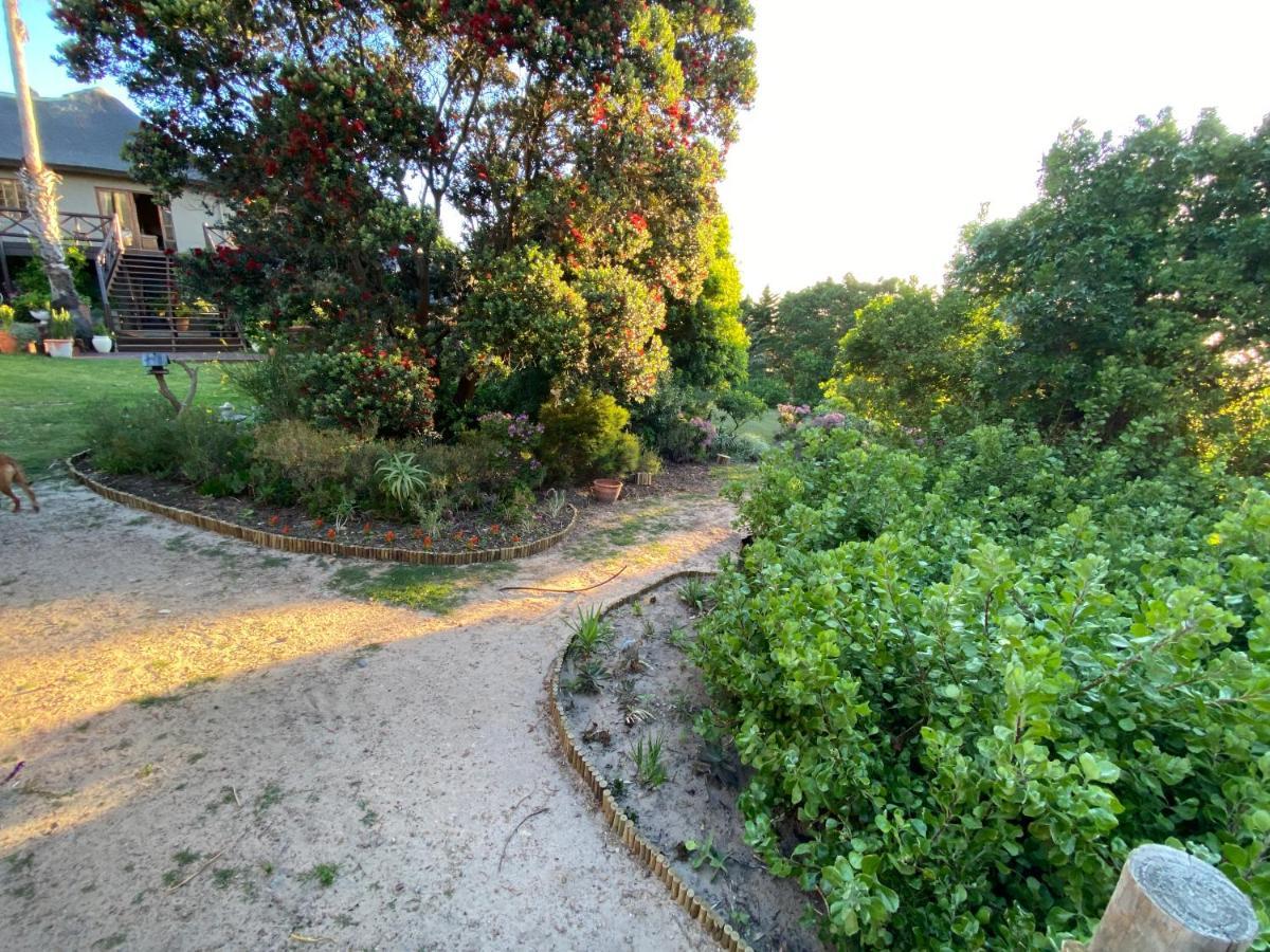 Wild Rose Country Lodge Noordhoek Ngoại thất bức ảnh