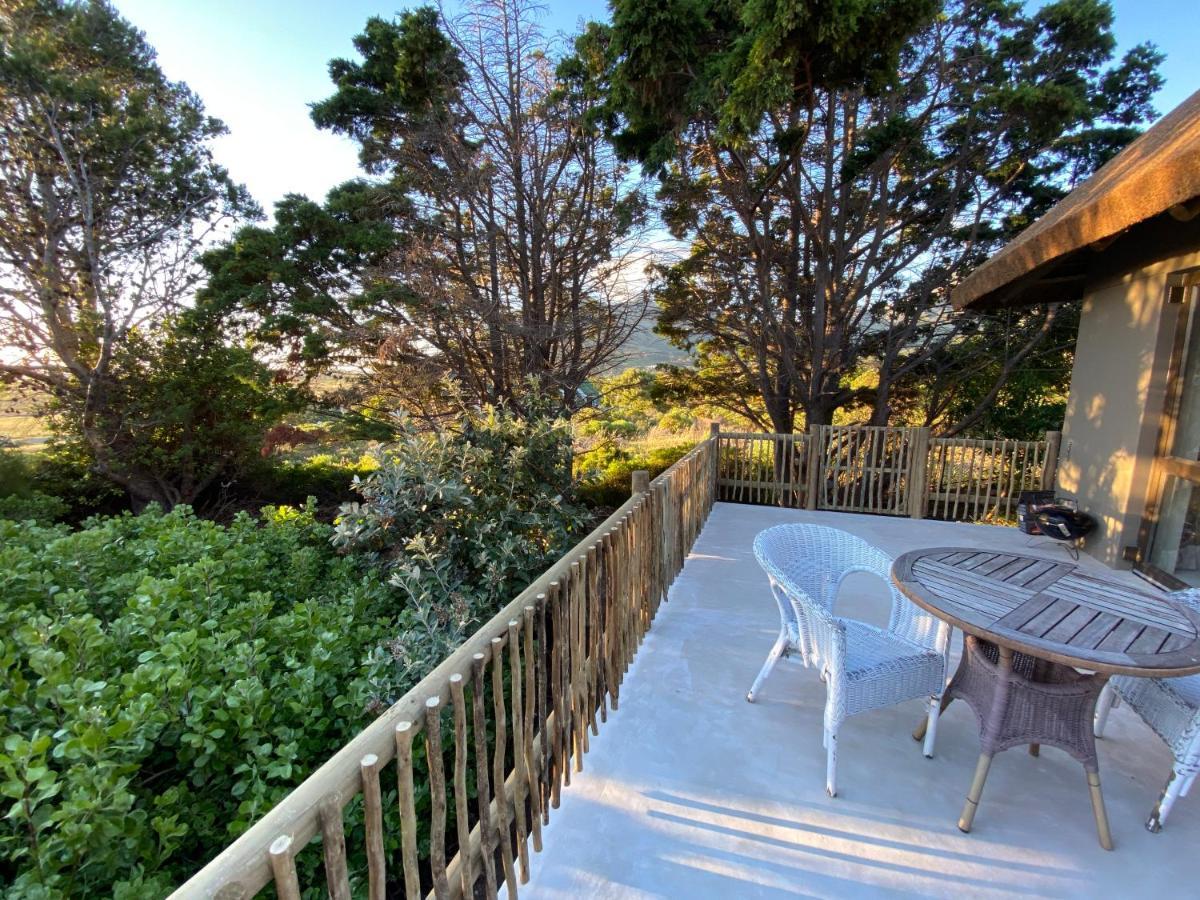 Wild Rose Country Lodge Noordhoek Ngoại thất bức ảnh