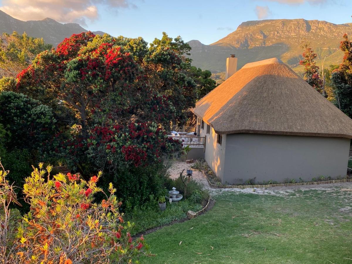 Wild Rose Country Lodge Noordhoek Ngoại thất bức ảnh